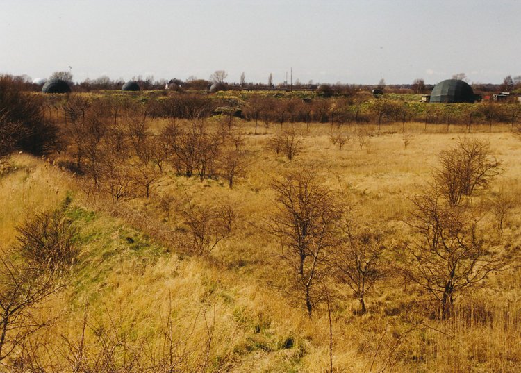 ESK 542 Kongelunden_20161026_0005