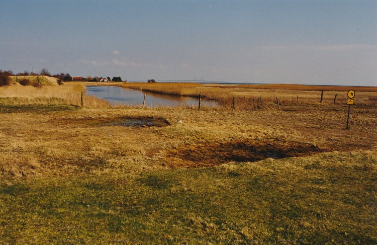 ESK 542 Kongelunden_20161026_0016